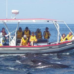 12 passenger zodiac